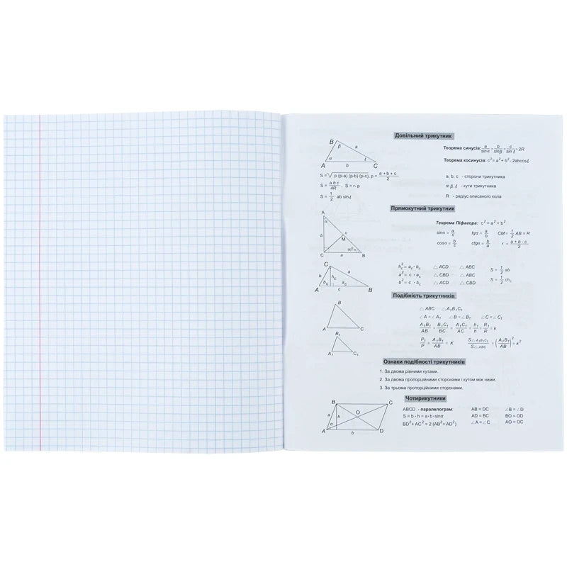 Зошит предметний Kite Sketch, 48 аркушів, клітинка, Геометрія K24-240-19