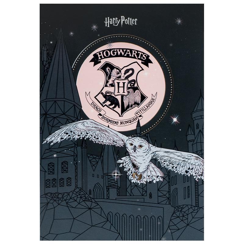 Блокнот-планшет Kite Harry Potter A5 50 аркушів клітинка HP25-194-1