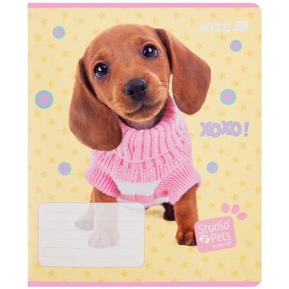 Зошит шкільний Kite Studio Pets, 12 аркушів, лінія SP25-234