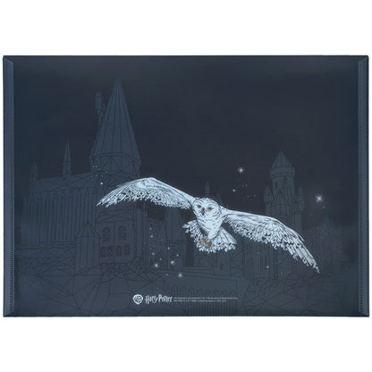 Папка на кнопці Kite Harry Potter HP25-244-2, А4