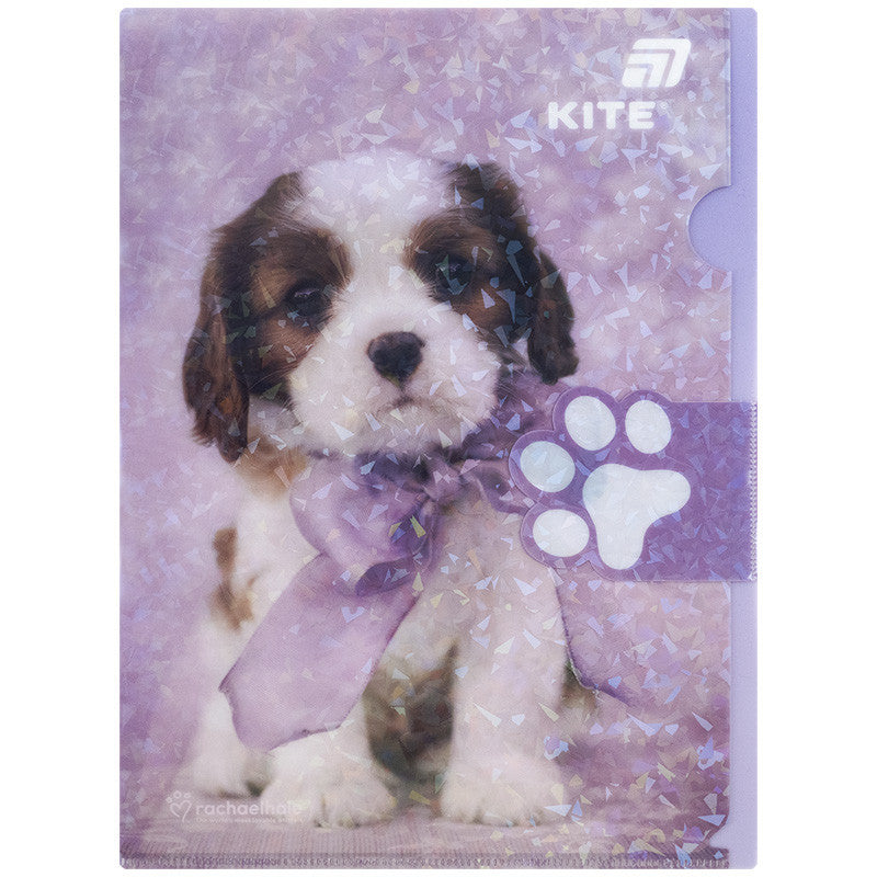 Папка-куточок з клапаном Kite Rachael Hale R25-248, A4