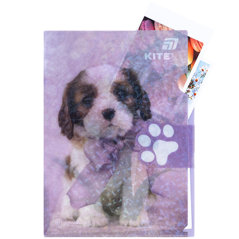 Папка-куточок з клапаном Kite Rachael Hale R25-248, A4
