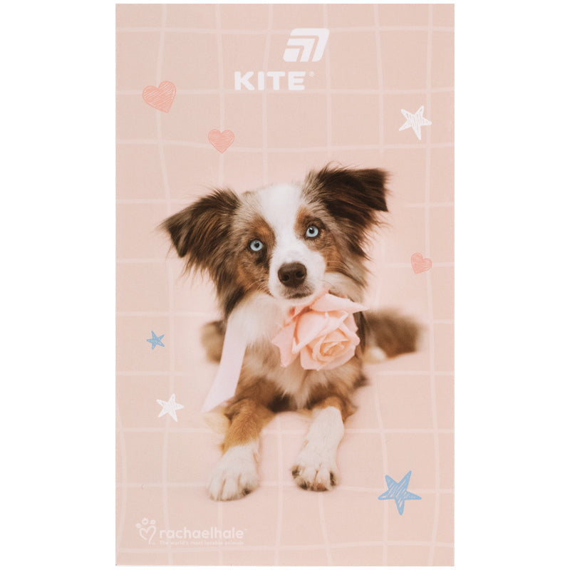 Блокнот-планшет Kite Rachael Hale R26-195, A6, 50 аркушів, нелінований