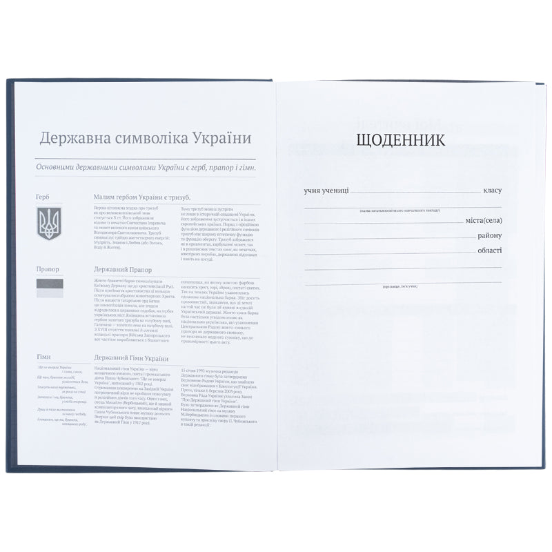 Щоденник шкільний Kite K26-262-12, тверда обкладинка, сірий
