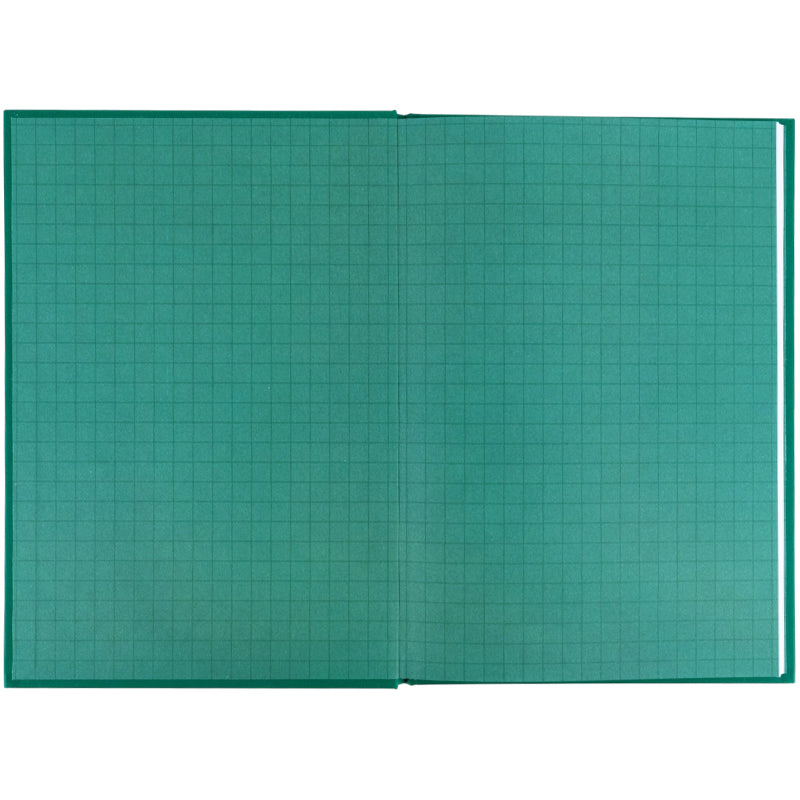 Щоденник шкільний Kite K26-262-13, тверда обкладинка, зелений