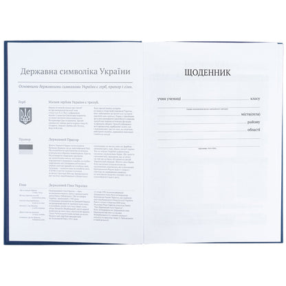 Щоденник шкільний Kite K26-262-17, тверда обкладинка, графітний