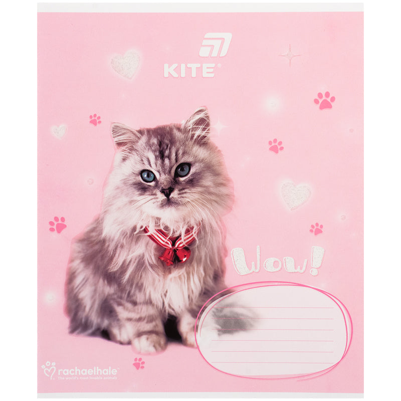 Зошит шкільний Kite Rachael Hale R26-235, 12 аркушів, коса лінія