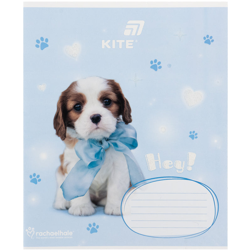 Зошит шкільний Kite Rachael Hale R26-235, 12 аркушів, коса лінія