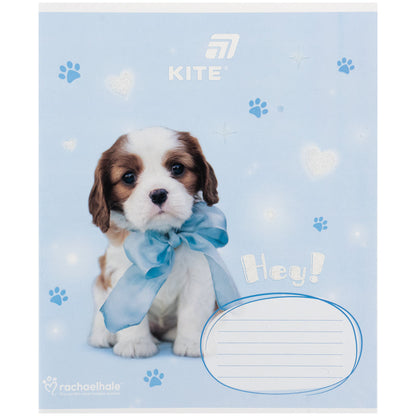 Зошит шкільний Kite Rachael Hale R26-235, 12 аркушів, коса лінія