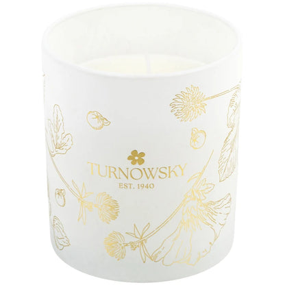 Ароматична свічка з ароматом яблука Axent Turnowsky Bijoux 7249-04-A-TR, 185г